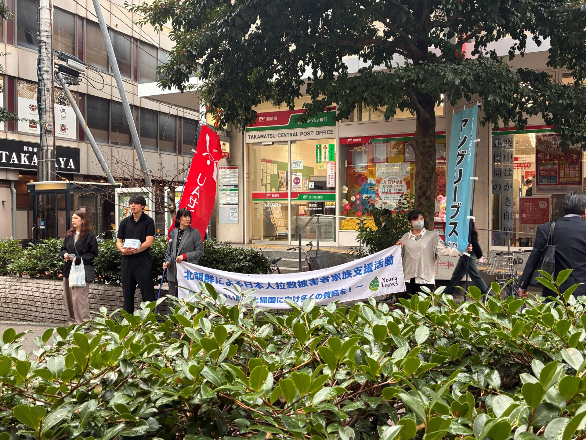 全景